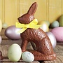 Robert L. Strohecker Assorted Rabbit® - Milk Chocolate