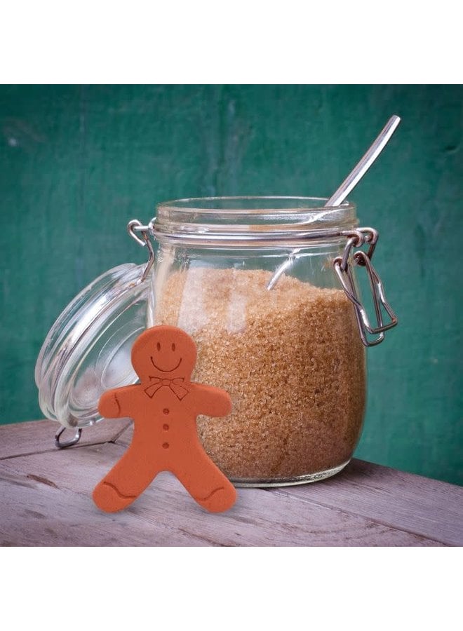 Brown Sugar Gingerbread Man
