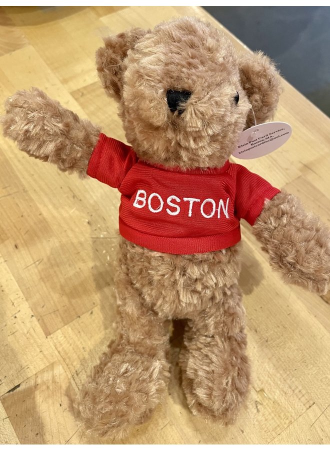 Teddy Bear Blue & Red Boston
