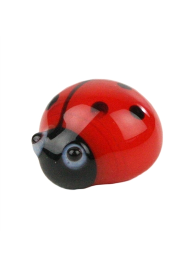 Glass Lady Bug