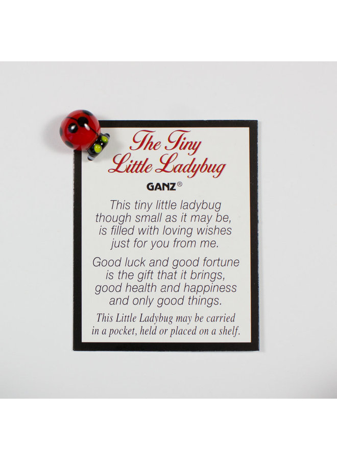 Glass Lady Bug