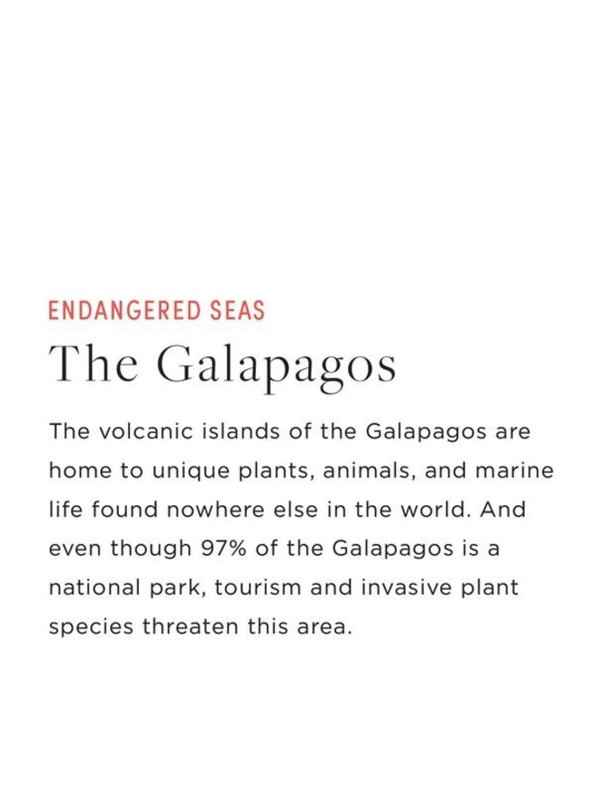 Sandwich Size - Endangered Seas Edition