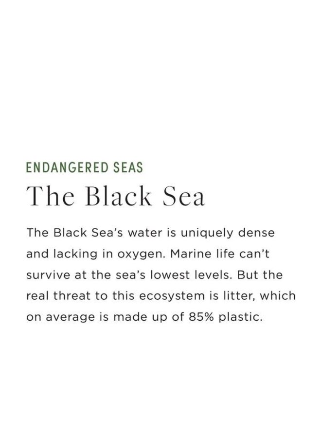 Sandwich Size - Endangered Seas Edition