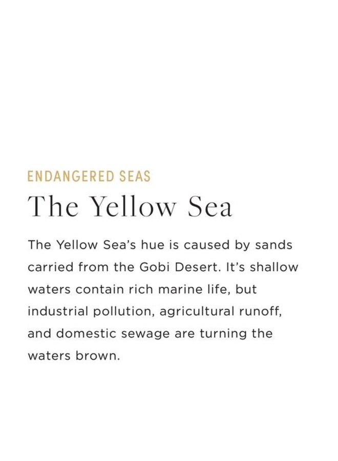 Sandwich Size - Endangered Seas Edition