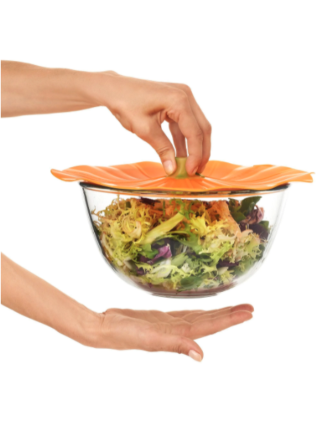 Pumpkin Food Storage Covers