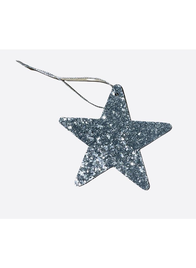 Silver Star Hang Tag / Ornament