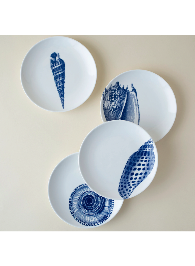 Shells Canapé Plates Boxed Set/4