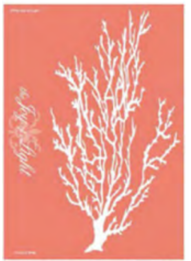 Matches Coral on Embosses Matte 4" Collectible Matchbox