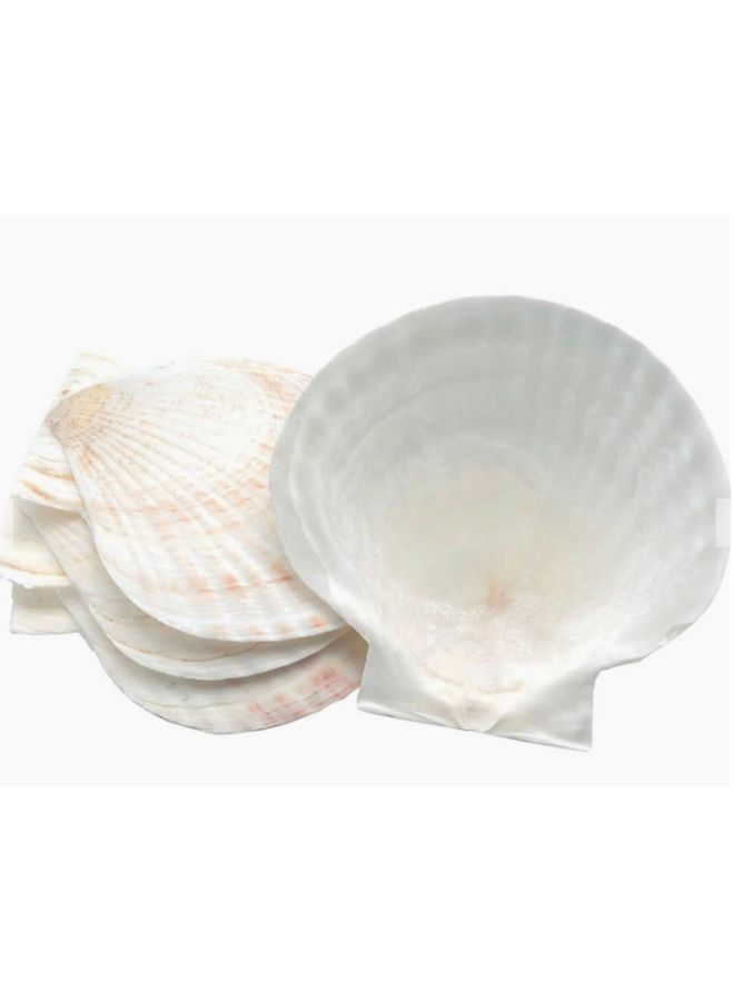 Baking Shells Large pk/4