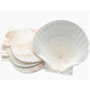 Baking Shells Large pk/4