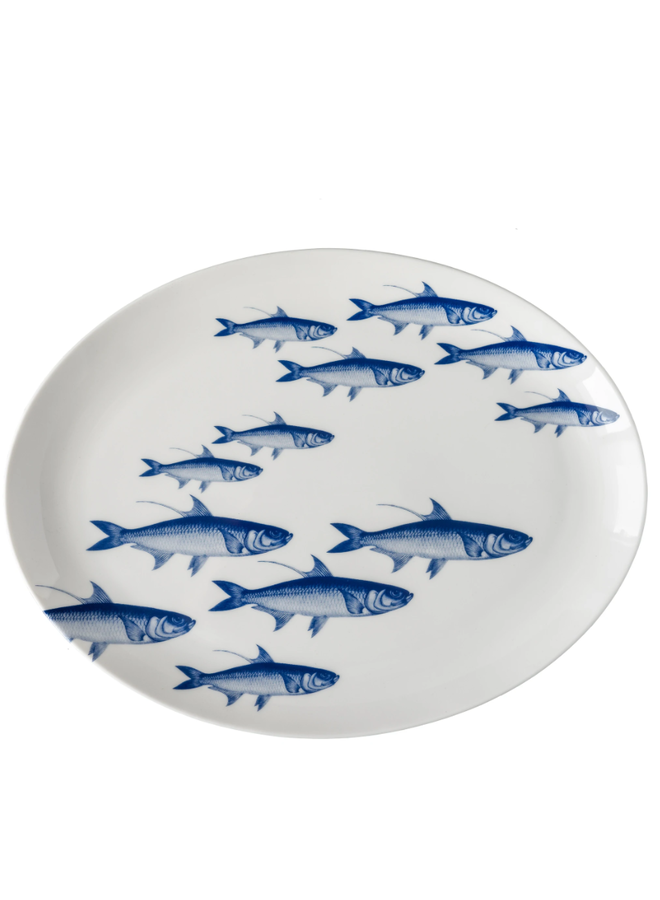 School of Fish Coupe Oval Rimmed Platter