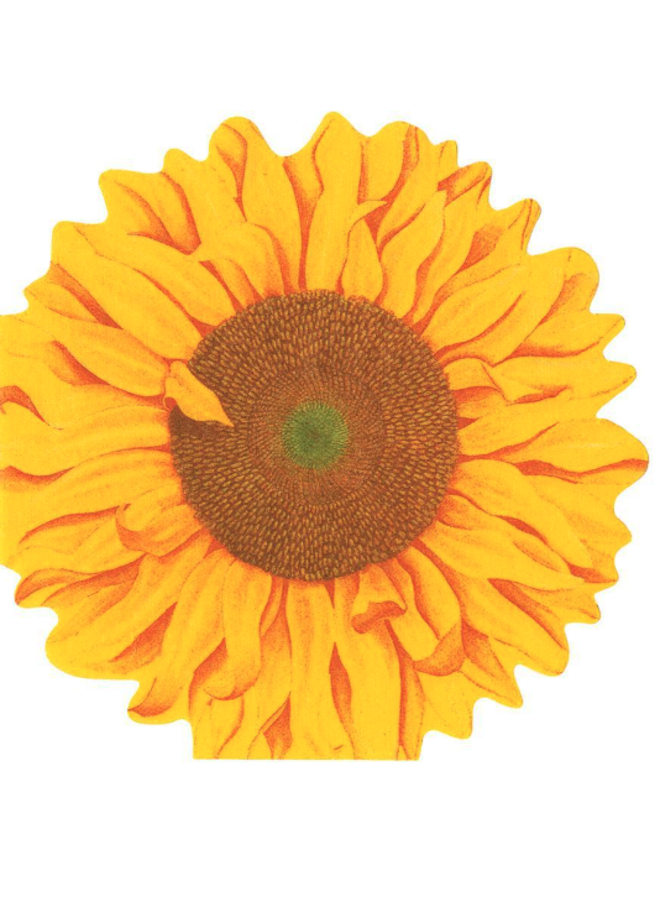 Girasol Die-Cut Paper Linen Party Napkins - 15 Per Package