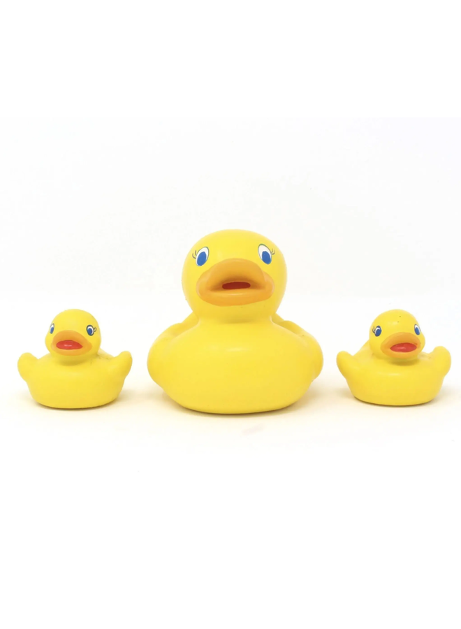 Duck Family 3-pc set