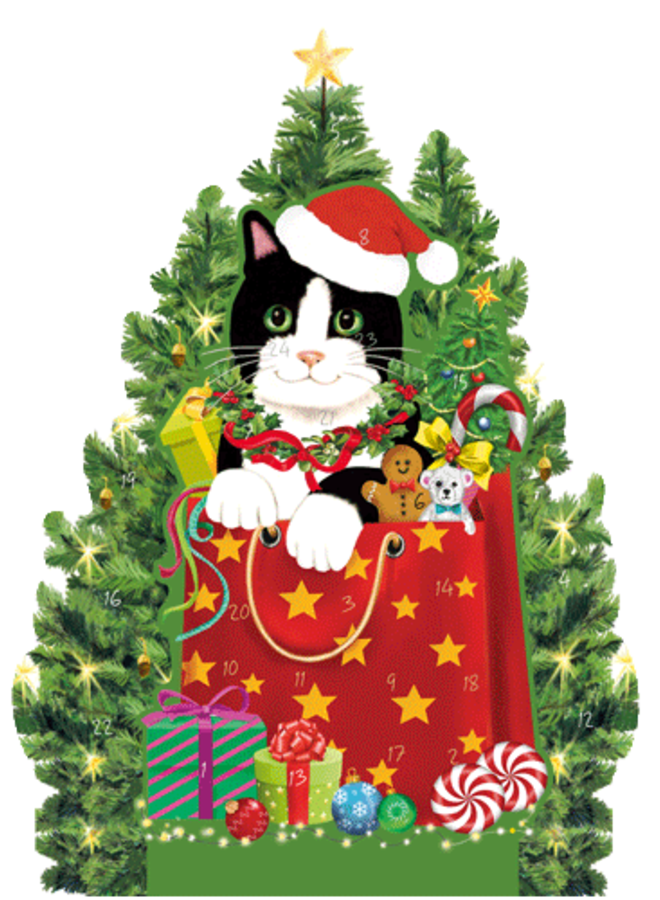 Christmas Cat Advent Calendar - 1 Each