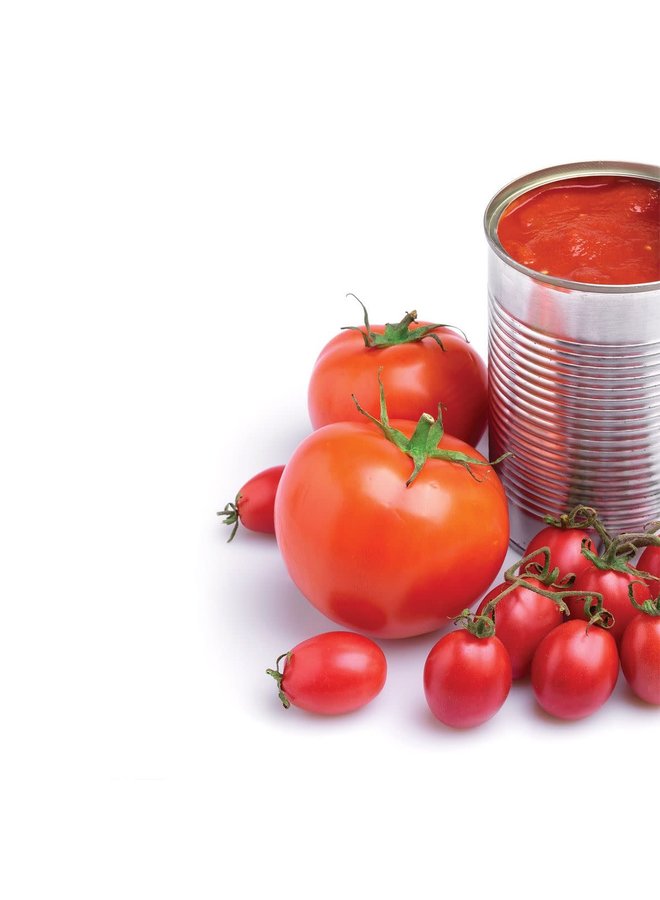 Kitchen Can Opener with Soft-Grip Handles
