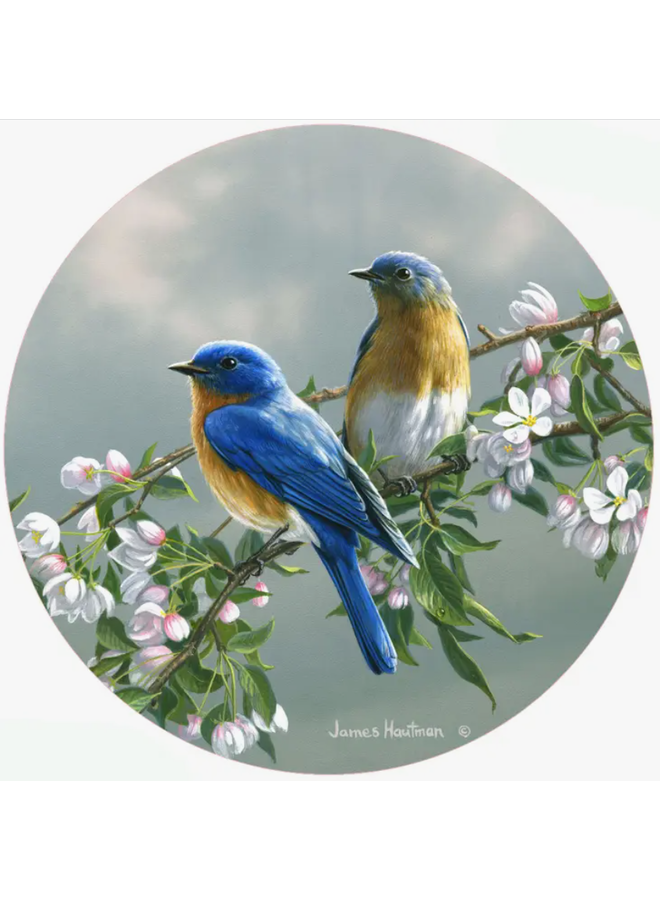 Spring Blossom Bluebirds Jar Opener
