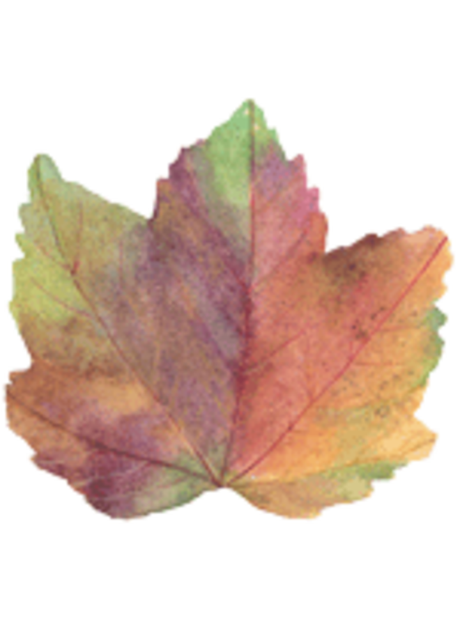 Autumn Leaf Die-Cut Placemat - 1 Each
