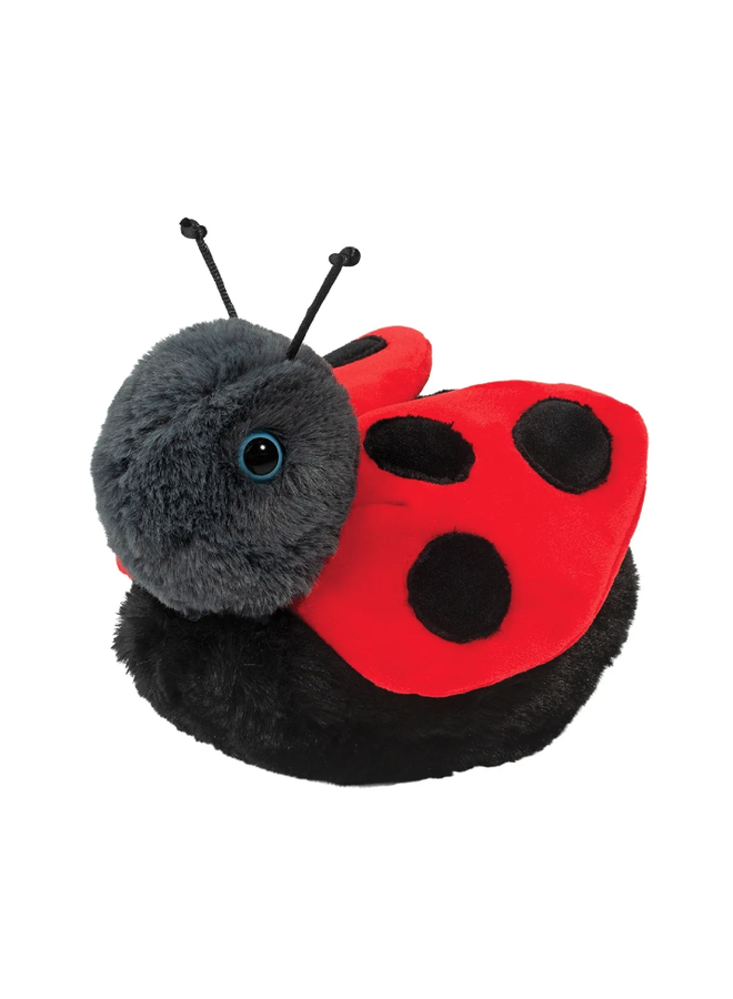 Bert Ladybug