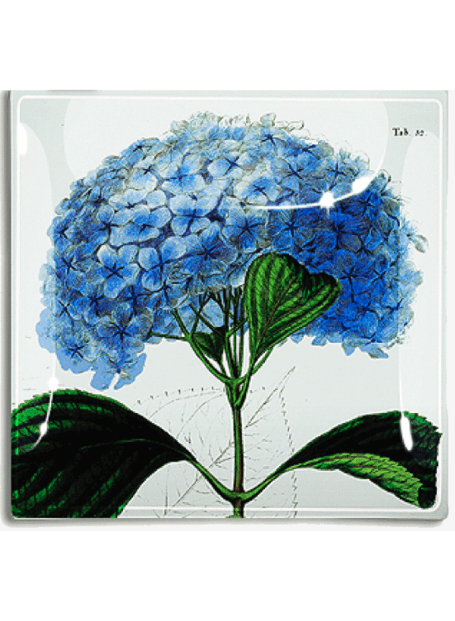 Blue Hydrangea Decoupage Glass Tray 8"x8"