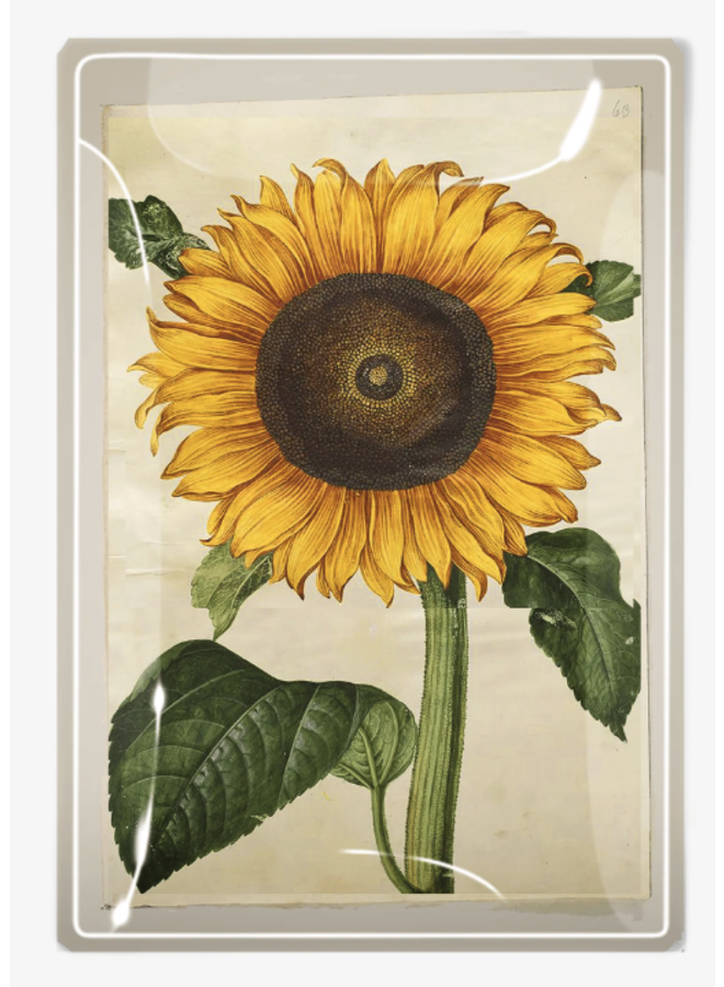 Bright Yellow Sunflower Decoupage Glass Tray