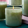 Classic Fresh Cut Gardenia Candle 6.5oz