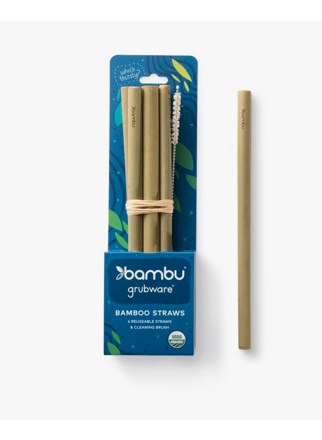 Reusable Bamboo Straws - Set of 6