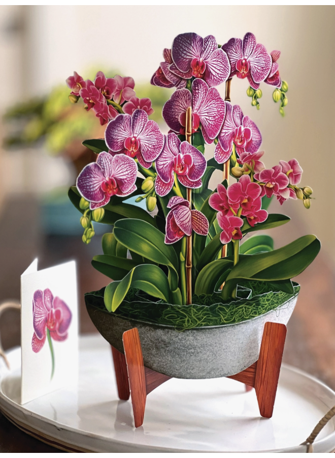 Orchid Oasis Pop-Up Greeting Cards