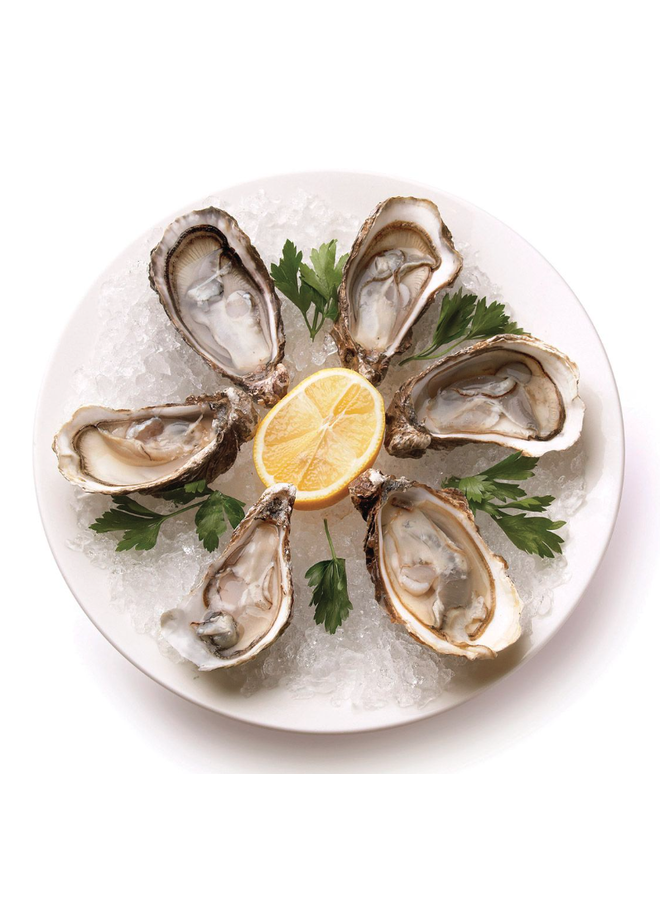 Maine Man Oyster Plate 9"