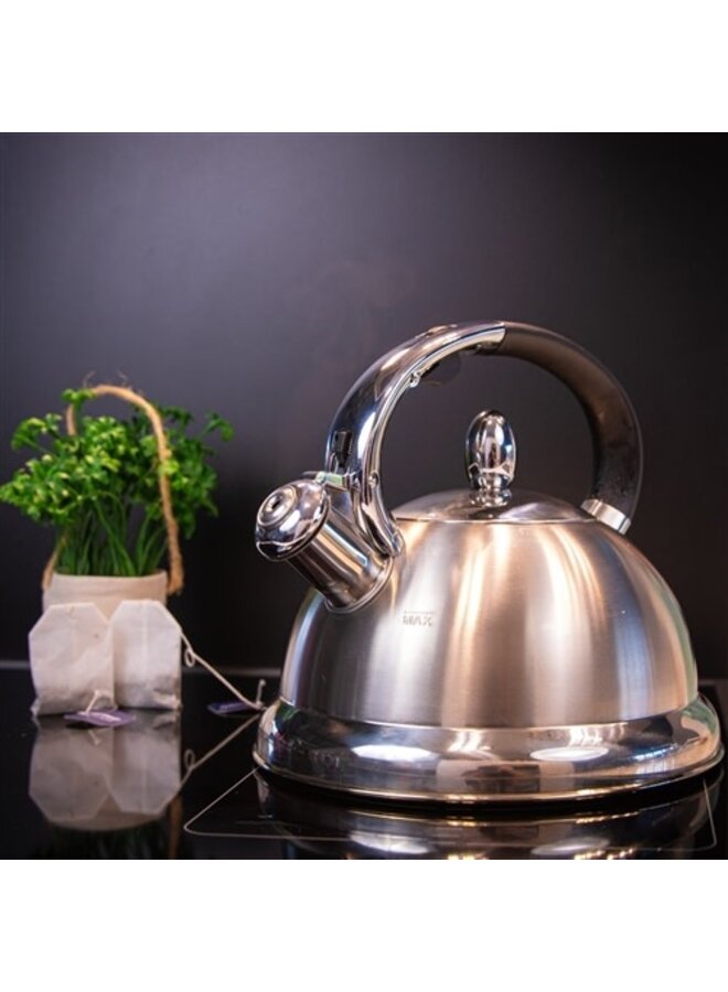 Whistling Water Kettle 2.9qt