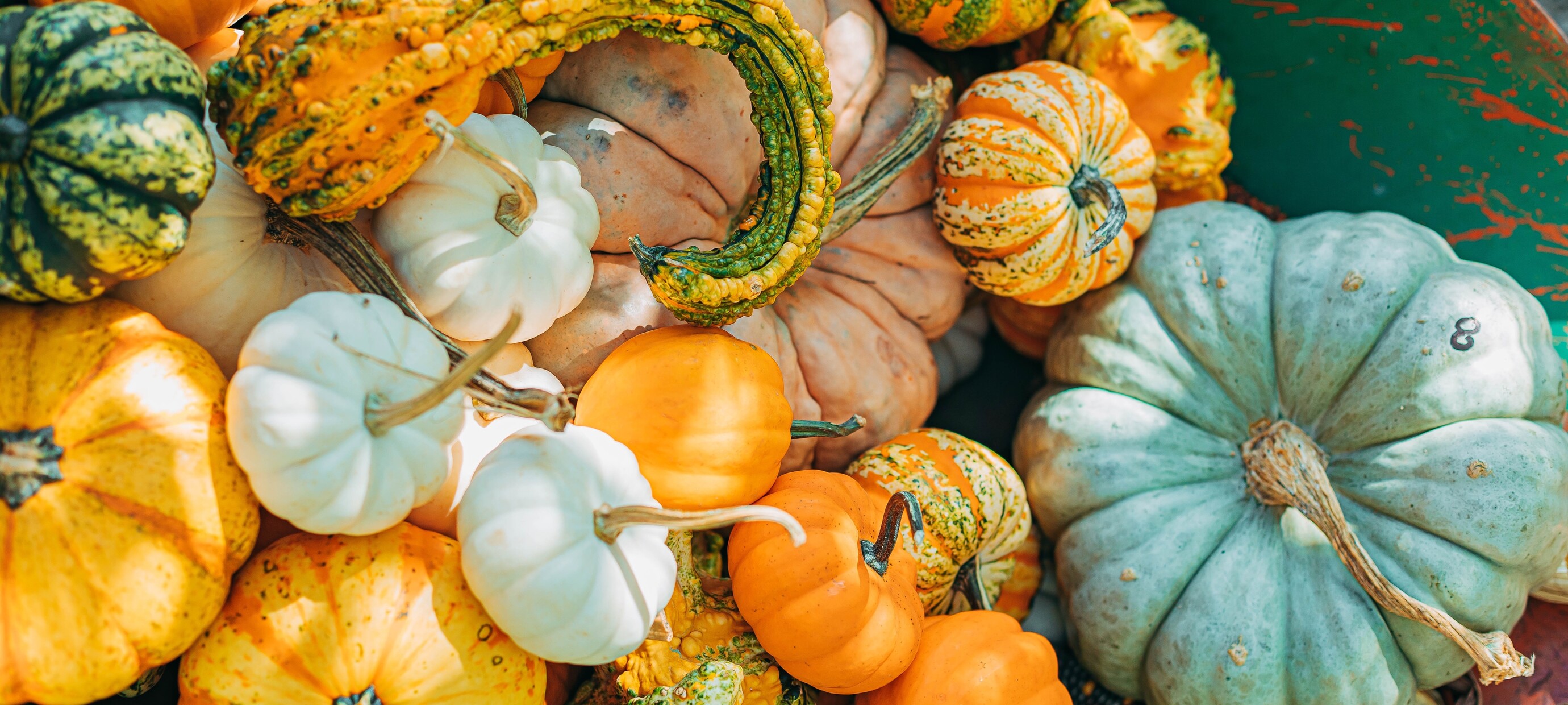 7 Ways to Get Into The Autumn Spirit