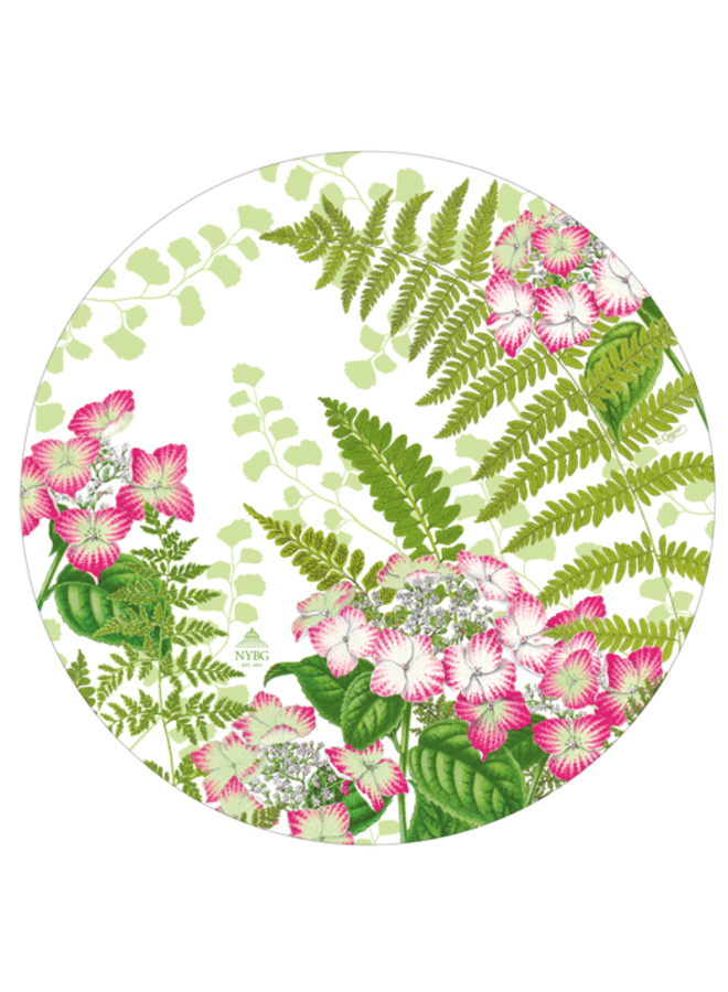 Fern Garden Salad & Dessert Plates