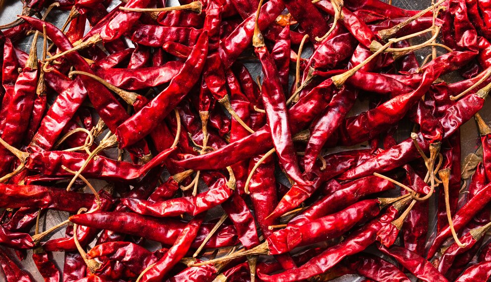 Staff Picks: Jim and Jennifer's Chile Numero Uno