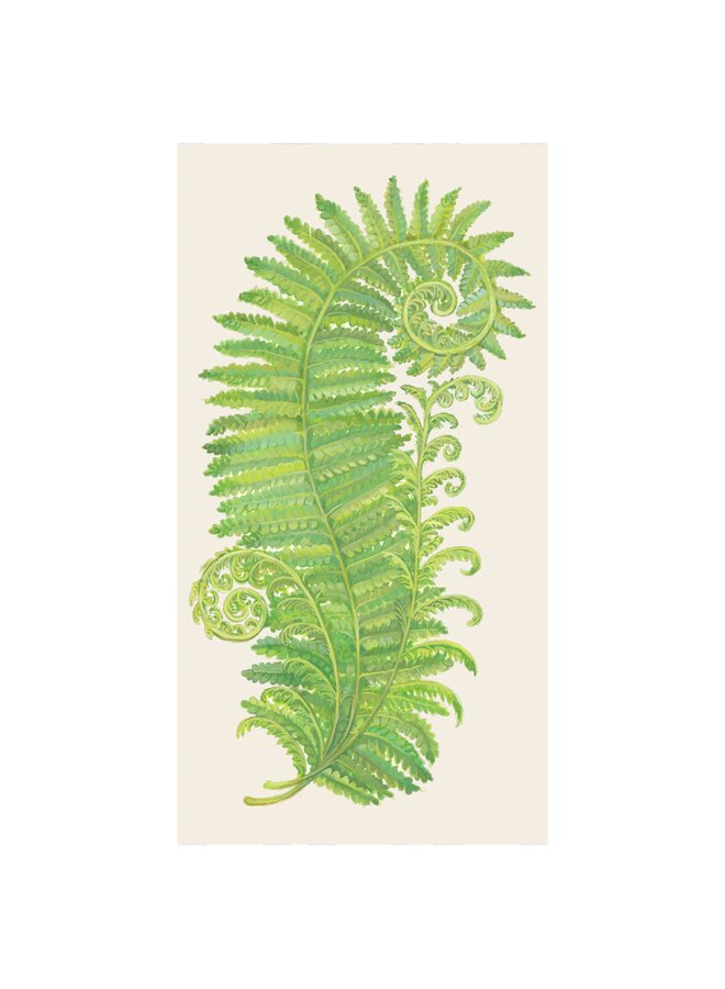 Fern Guest Towel - Pack of 16