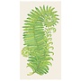 Fern Guest Towel Package of 16