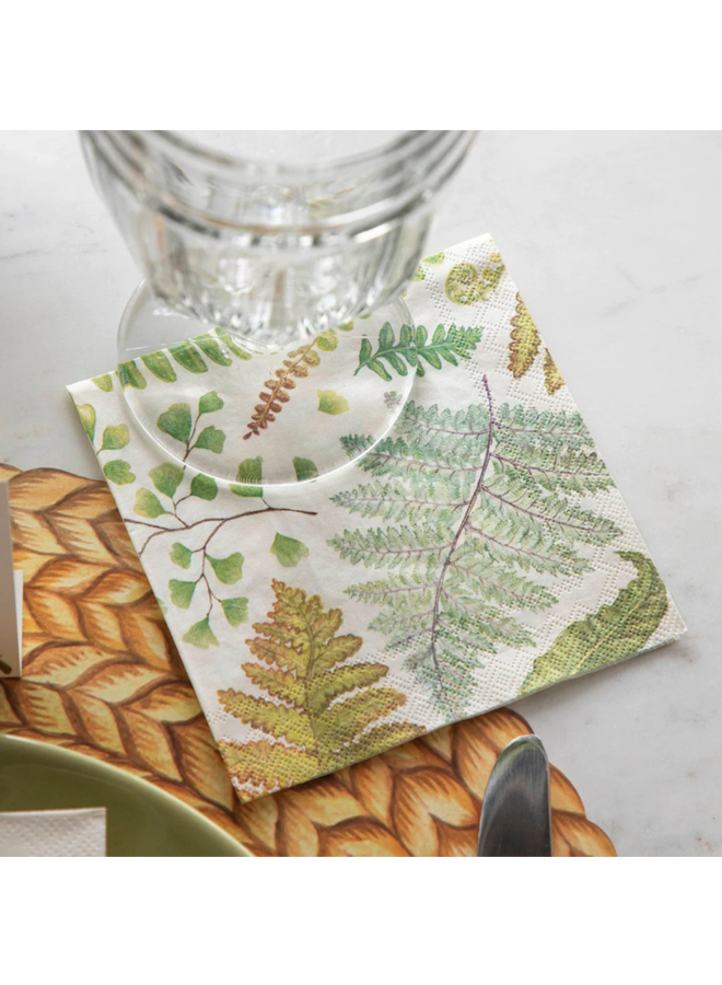 Fern Cocktail Napkin - pack of 20