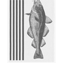 Cod Hand Towel 14" x 20"