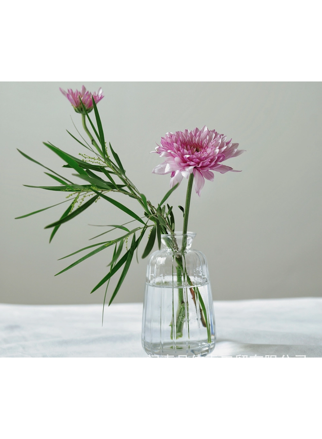Clear Slanted Glass Bud Vase 4.7"