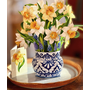 English Daffodils Pop-Up Greeting Card