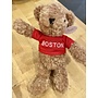 Boston Teddy Bear