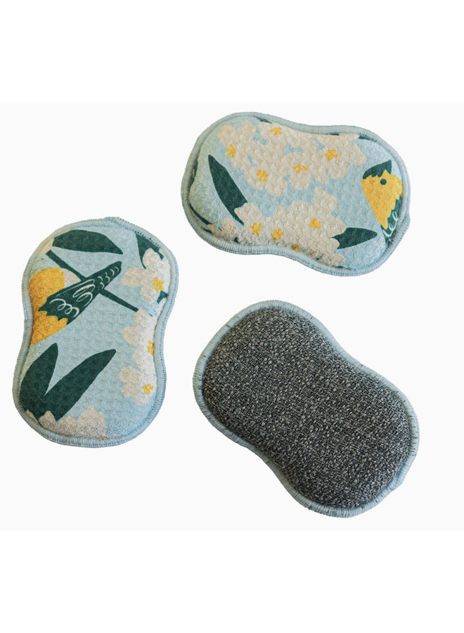 RE:usable Sponges (Set of 3) Nuthatch Birdsong