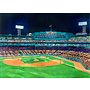 8x10 Print of A View From the Green Monster