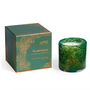 Classic Woodland Spruce Candle 6.5oz