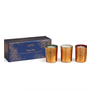Votive Trio Limited Edition Set - Woodland Spruce, Absinthe Plum, White Maple Bourbon