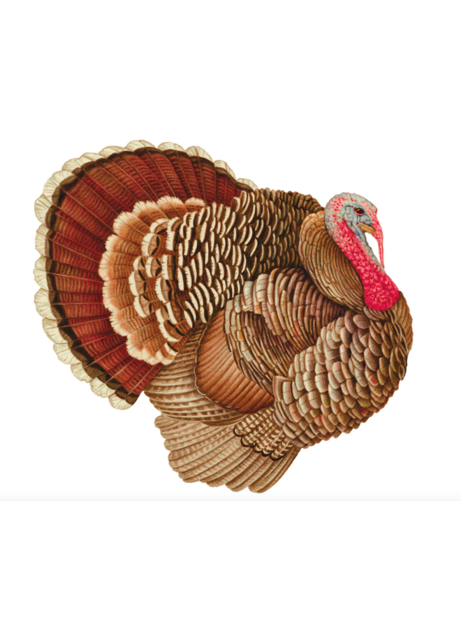 Turkey Paper Placemats - 12 Per Package