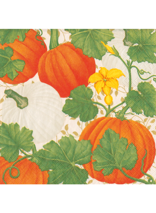 Pumpkin Chintz White Cocktail Napkins - 20 Per Package