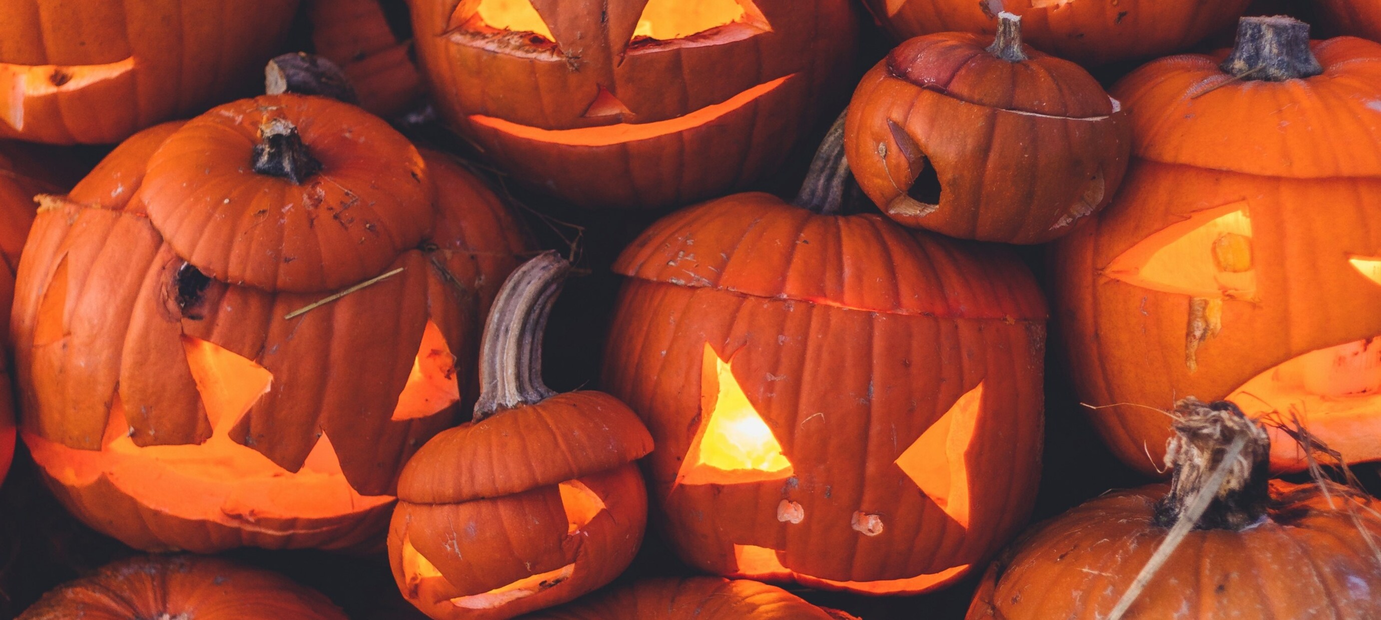 Pumpkin Carving Ideas for Beginners