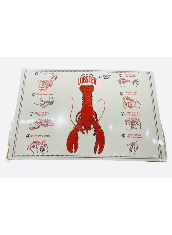 Laminated Double-Sided Placemat (side 1 - Ducklings & Side 2 - Boston Illustrated Chart)