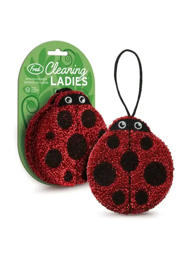 Cleaning Ladies - Set of 2 Ladybug Sponges