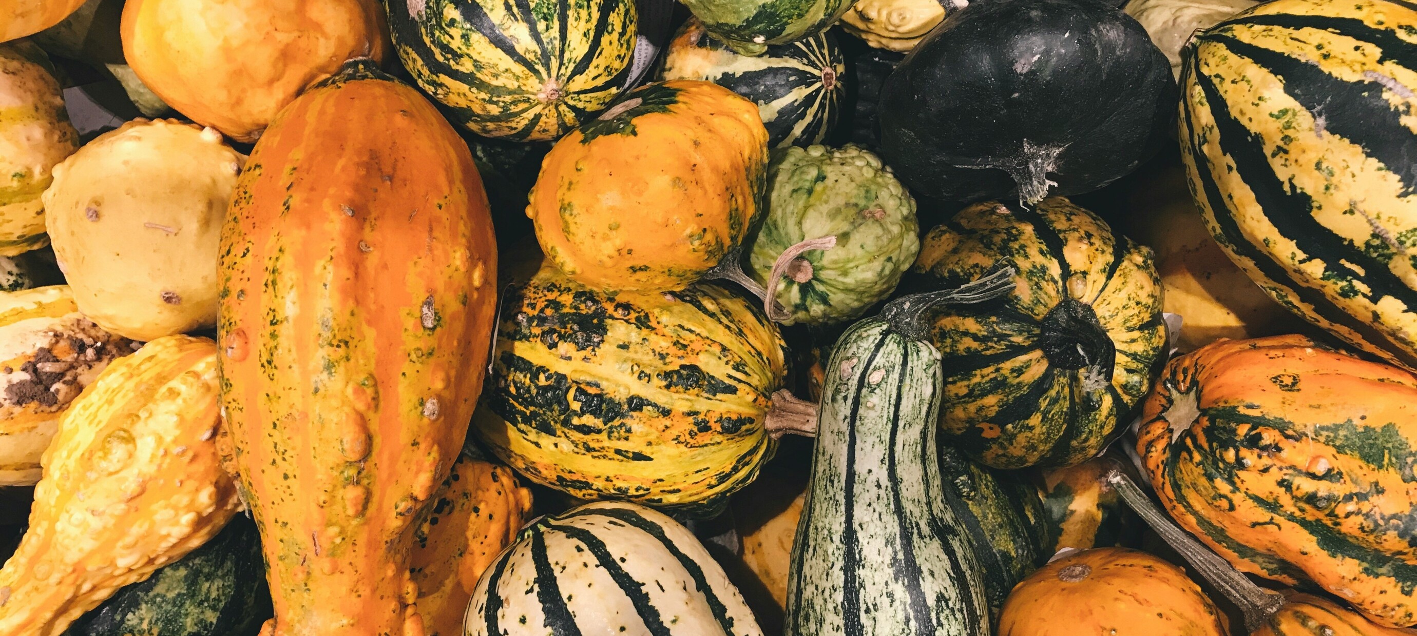 Build Your Vegan Thanksgiving Menu