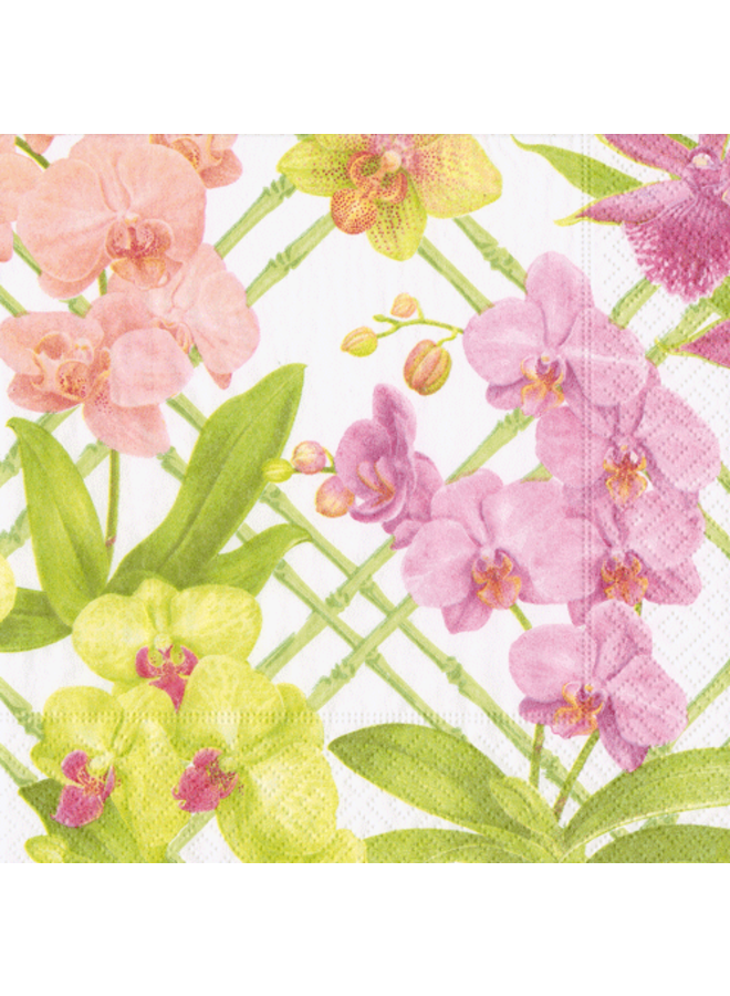Orchid Conservatory Cocktail Napkins - 20 Per Package